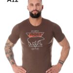 brązowy/niedźwiedź